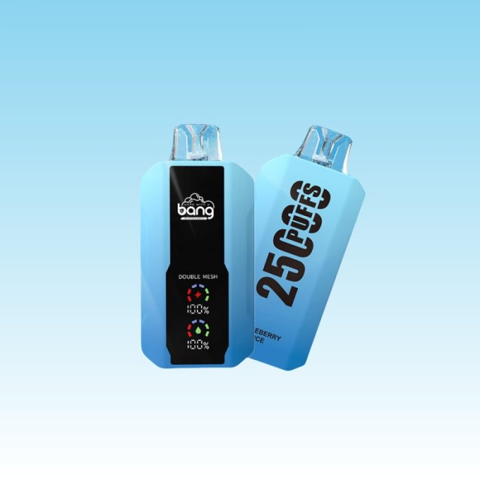 Bang 25000 Puffs | Totovape