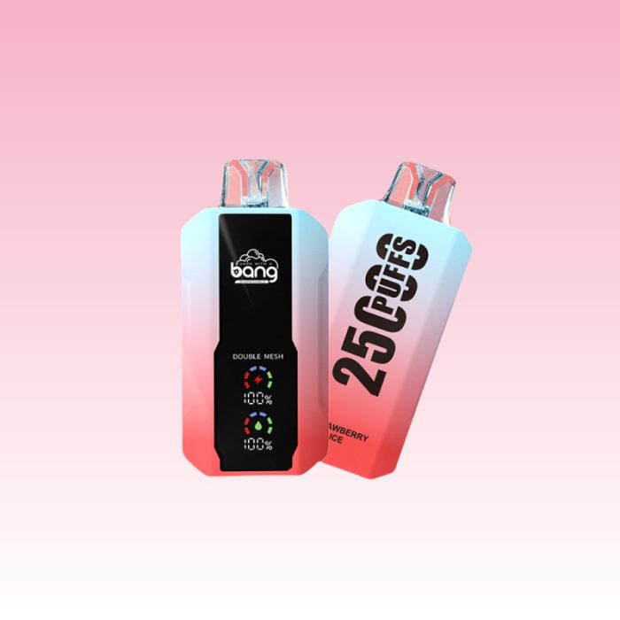 Bang 25000 Puffs | Totovape