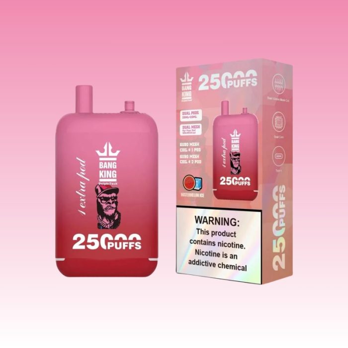 Bang King 25000 Puffs | Totovape Bang King 25000 Puffs | Totovape