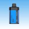 Fizzy Luxury 15000 Puffs | TOTOVAPE