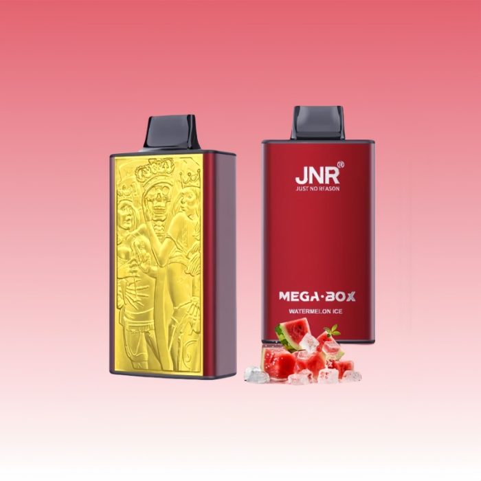 JNR Mega Box 25000 Puffs | TOTOVAPE