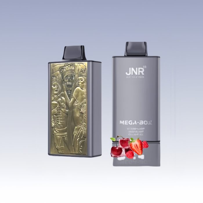 JNR Mega Box 25000 Puffs | TOTOVAPE