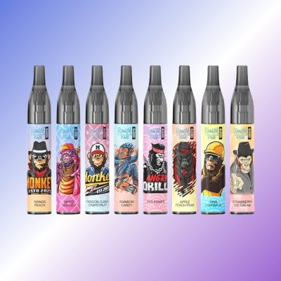 Randm Vase 600 Puffs | TOTOVAPE