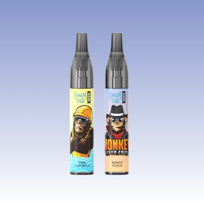 Randm Vase 600 Puffs | TOTOVAPE