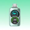 Waka Duo 28000 Puffs | Totovape