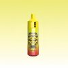 Bang King 13000 Puffs | Totovape