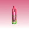 Bang King 13000 Puffs | Totovape