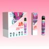 Randm Squid Bar 2500 puffs | TOTOVAPE