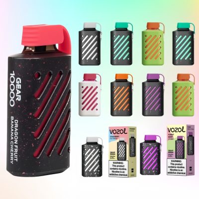 VOZOL Gear 10000 puffs | Totovape