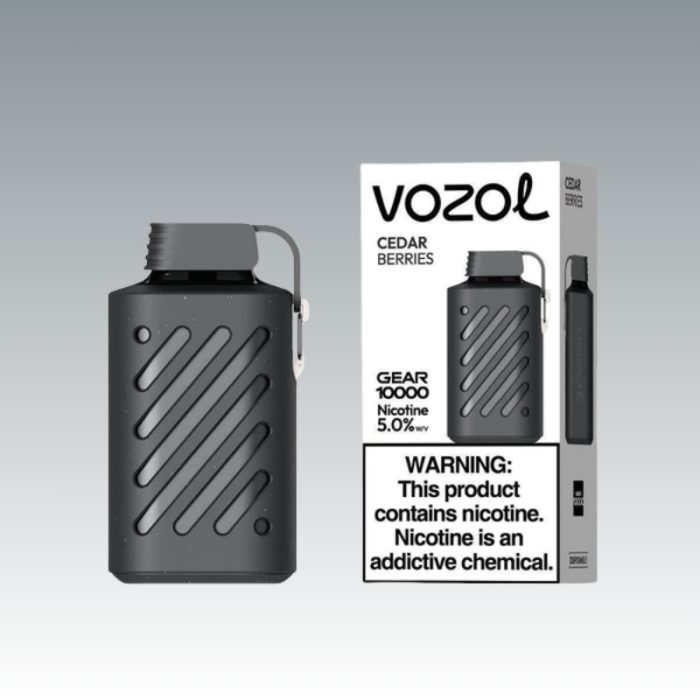 VOZOL Gear 10000 puffs | Totovape