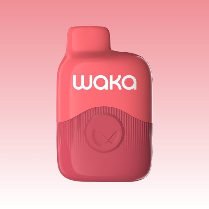 WAKA soPro PA600 | Totovape WAKA soPro PA600 | Totovape