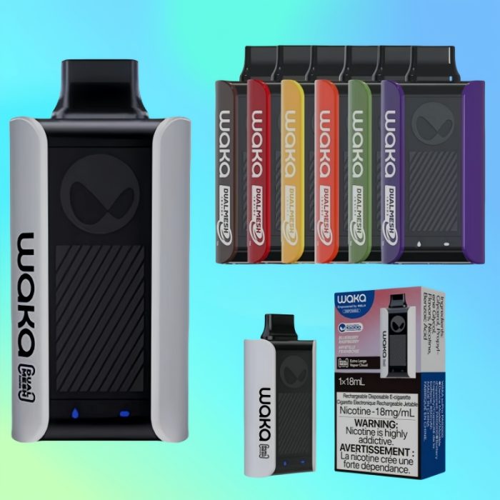 Waka soPro PA10000 | Totovape Waka soPro PA10000 | Totovape