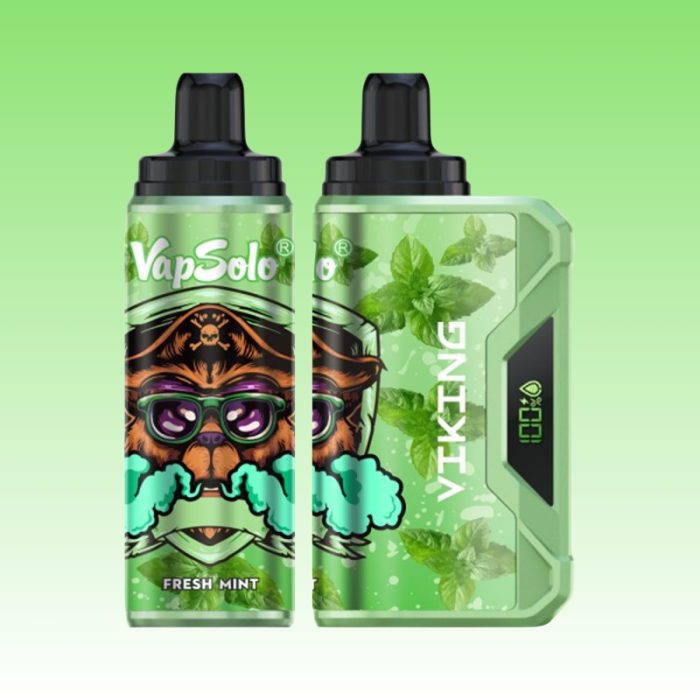 VapSolo Viking 12000 Puffs | TOTOVAPE