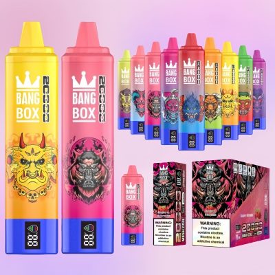 Bang Box 20000 Puffs | TOTOVAPE