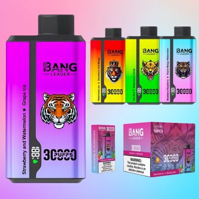 Bang Leader 30000 Puffs | TOTOVAPE Bang Leader 30000 Puffs | TOTOVAPE
