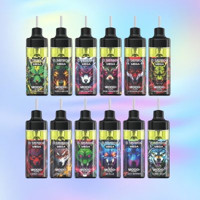 Tastefog Mega 12000 Puffs | TOTOVAPE Tastefog Mega 12000 Puffs | TOTOVAPE