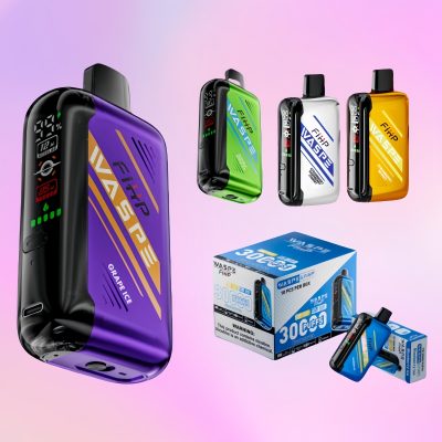 Waspe FW 30000 Puffs | TOTOVAPE Waspe FW 30000 Puffs | TOTOVAPE