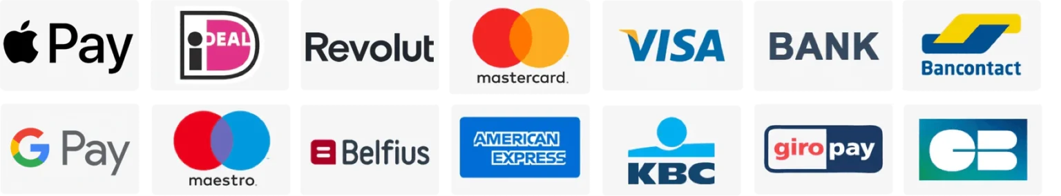 pay icon