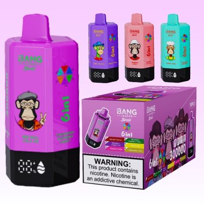 Bang Leader 300k Puffs | TOTOVAPE Bang Leader 300k Puffs | TOTOVAPE